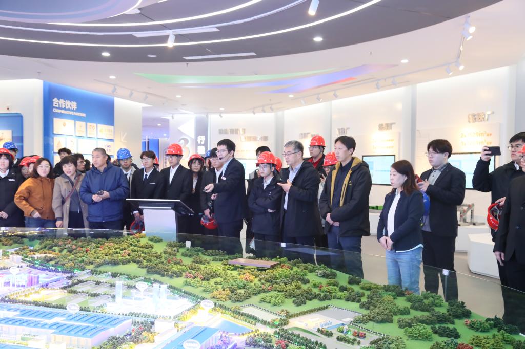 教师代表